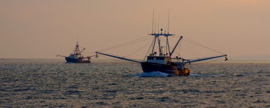 Fishing Boats